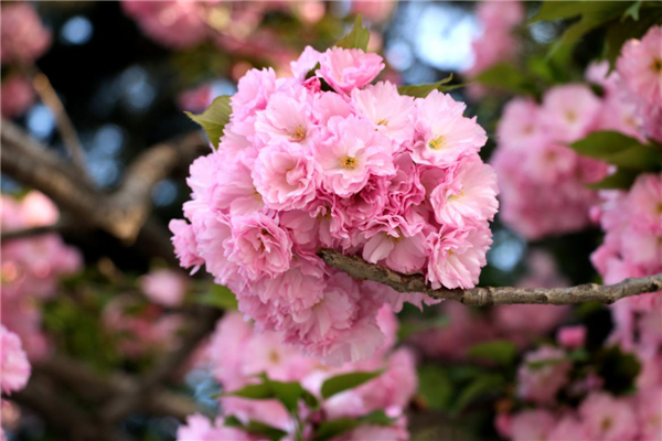 1586310164244450.png 04_副本.png