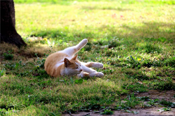 1586310258456505.png 09_副本.png