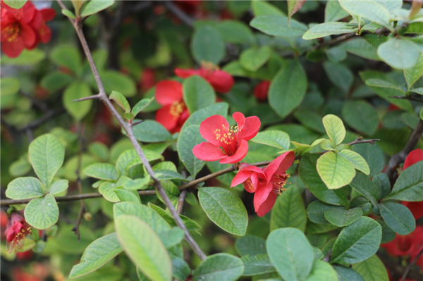 1586310289549992.png 11_副本.png