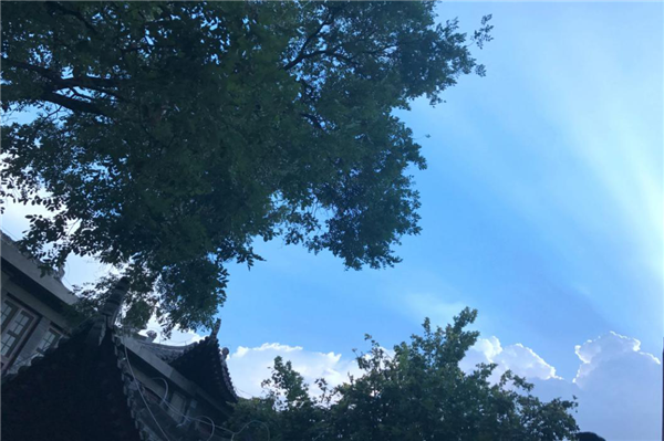 1586310367461752.png 16_副本.png