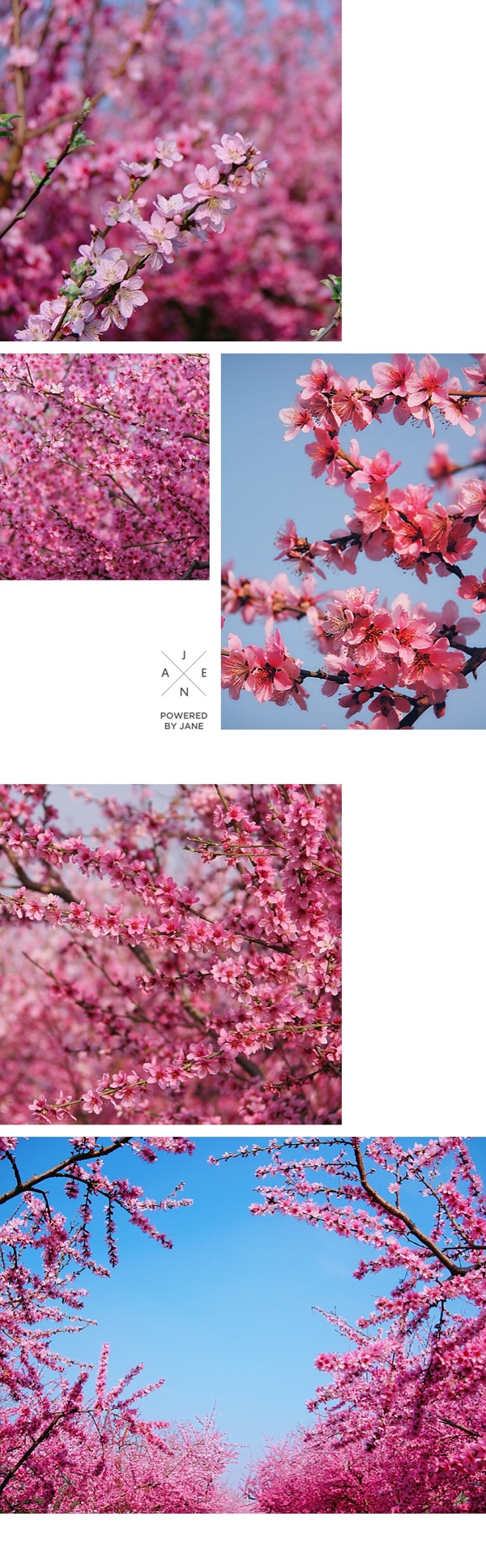 1586312696239412.jpg 微信圖片_20200408102132_副本.jpg