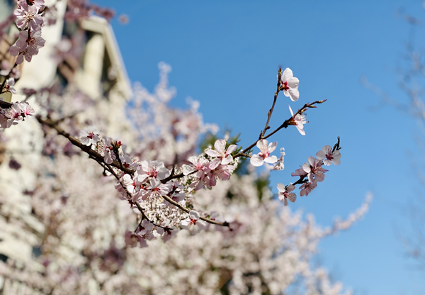 1586511396598001.png 圖片1_副本.png