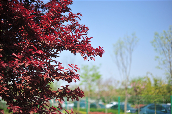 1586768050224215.jpg 281def37d50197215ff70d434baba32_副本.jpg