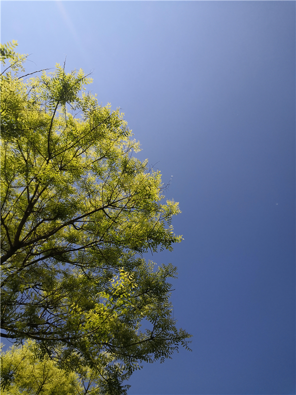 1586768284623699.jpg _副本.jpg