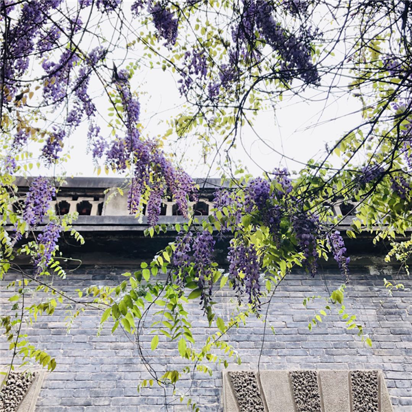 1587003628510295.png 圖片1_副本.png