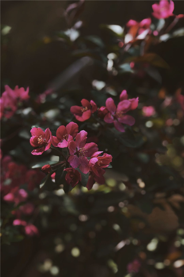 1587471405452689.jpg 6_副本.jpg