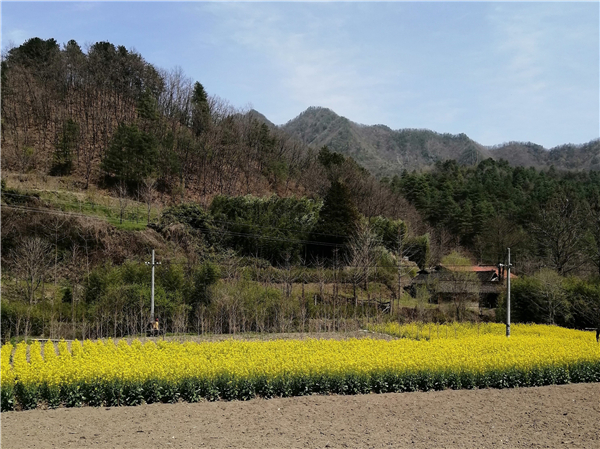 1587477419828733.jpg 2_副本.jpg