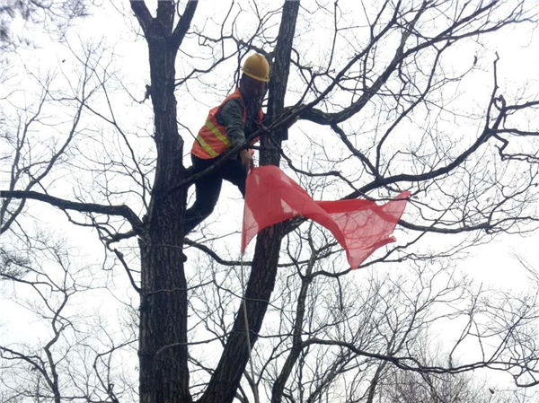 1587477515172900.jpg 8_副本.jpg