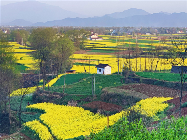 1587480356697165.png 圖片 2_副本.png