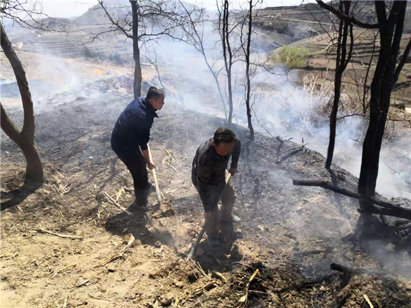 1612927285407374.jpg 5_副本.jpg