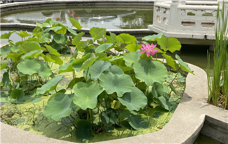 1655688960347758.jpg 2_副本.jpg