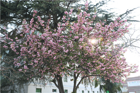 1679279332398141.jpg 圖片14_副本.jpg