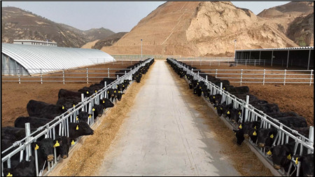 1710295068993730.jpg 微信圖片_20240312101804_副本.jpg