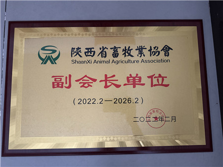 1724634592302554.jpg 09cae9f374af5364aab3290204322df_副本.jpg